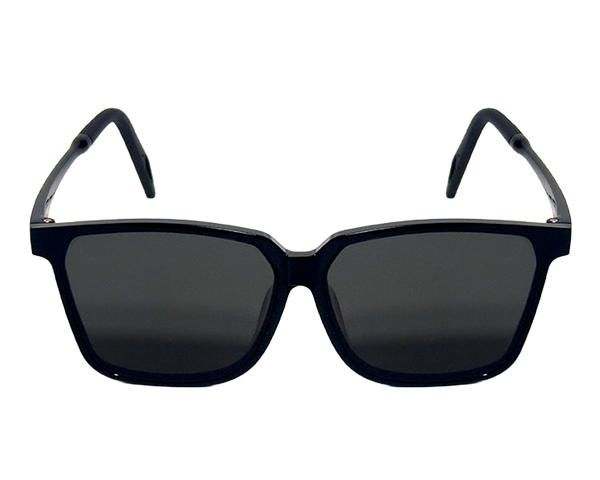 ARA (Shiny Black, Polarized Lens)